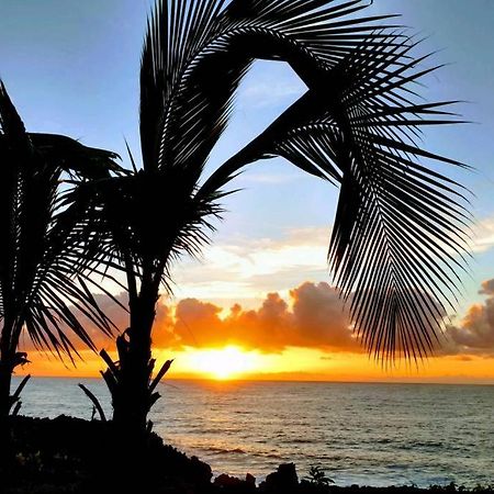 Seaview Paradise Palms&Zen Garden Apt Pahoa Buitenkant foto
