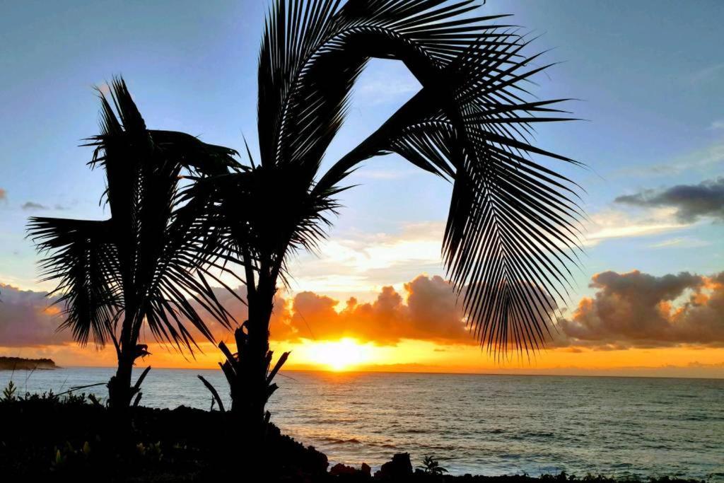 Seaview Paradise Palms&Zen Garden Apt Pahoa Buitenkant foto