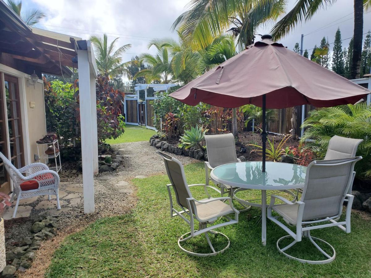 Seaview Paradise Palms&Zen Garden Apt Pahoa Buitenkant foto