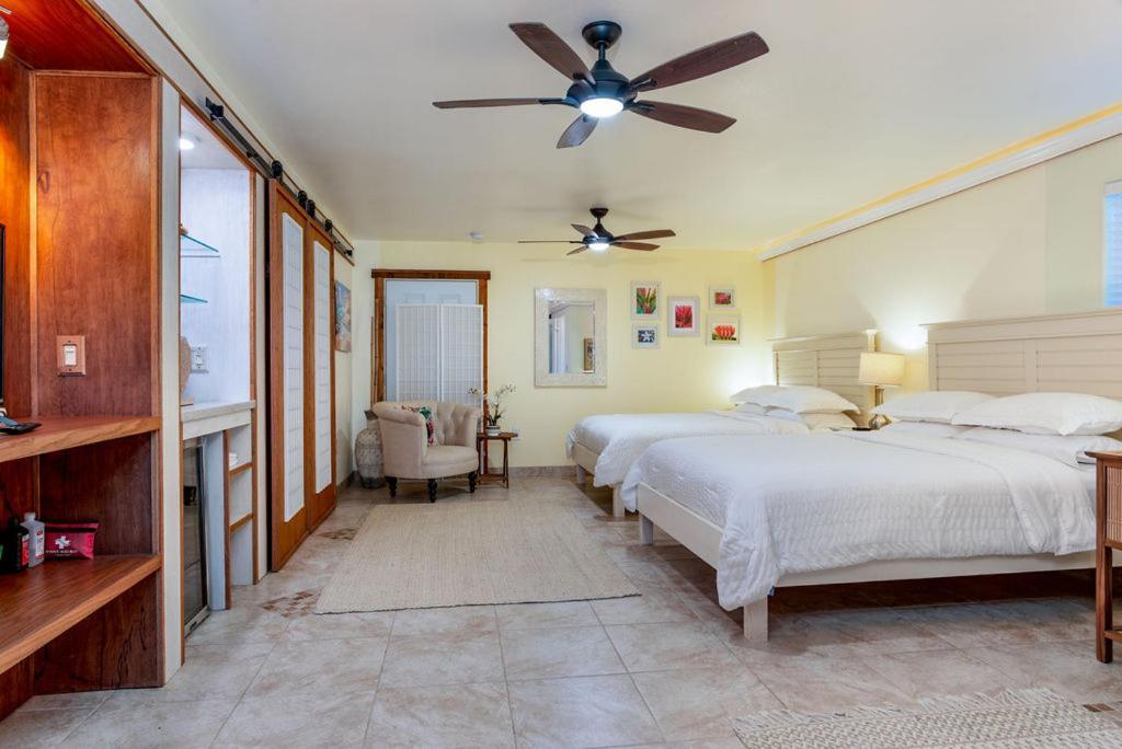 Seaview Paradise Palms&Zen Garden Apt Pahoa Buitenkant foto